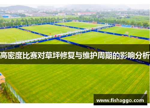 高密度比赛对草坪修复与维护周期的影响分析